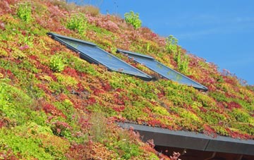 Port Erroll living roof systems